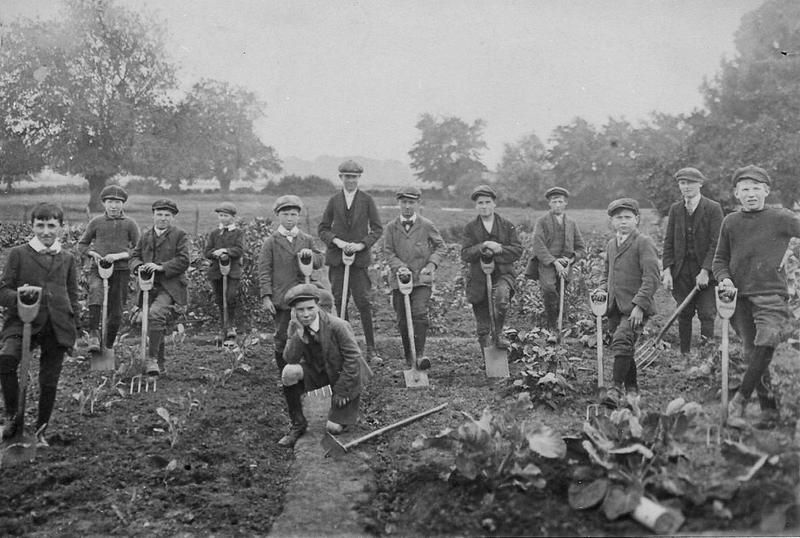 Farm_boys._Peter_Holden._Roxton_and_District_History_Group_1.jpeg