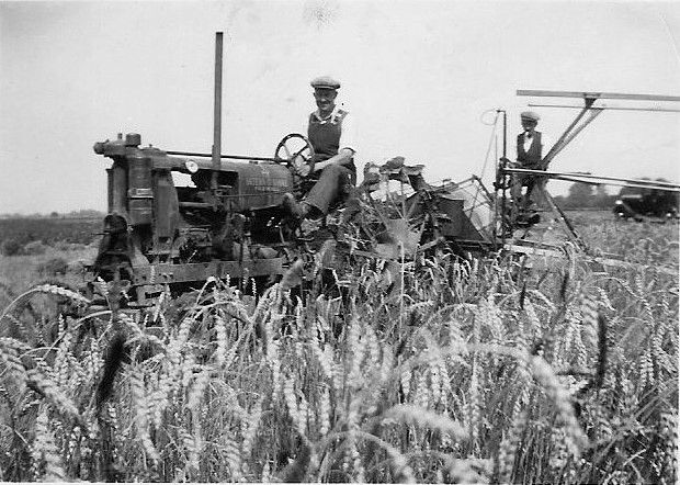 Tractor_5._Peter_Holden._Roxton_and_District_History_Group.jpeg